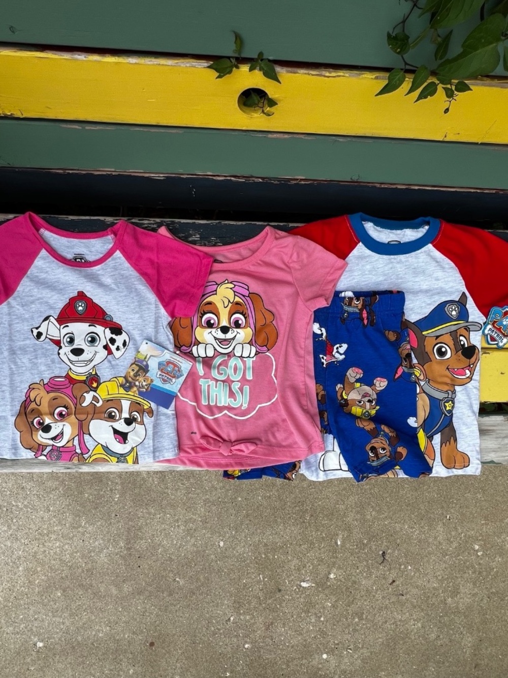 Paw Patrol shirts and short batch